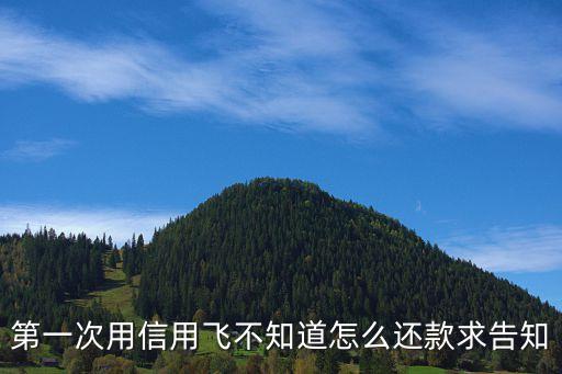 貸我飛怎么還款，信用飛的還款方式有幾種