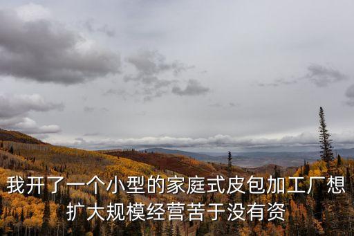 我開了一個小型的家庭式皮包加工廠想擴大規(guī)模經(jīng)營苦于沒有資