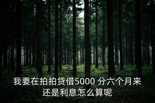 我要在拍拍貸借5000 分六個月來還是利息怎么算呢