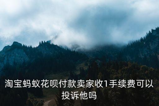 淘寶螞蟻花唄付款賣家收1手續(xù)費可以投訴他嗎