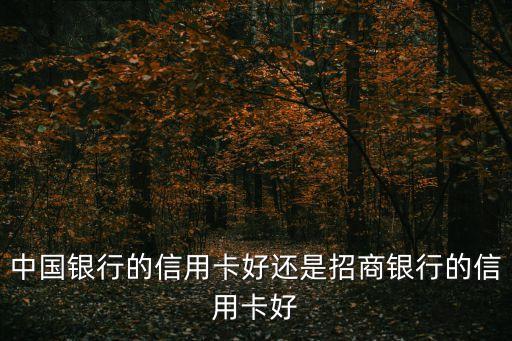 中國銀行的信用卡好還是招商銀行的信用卡好