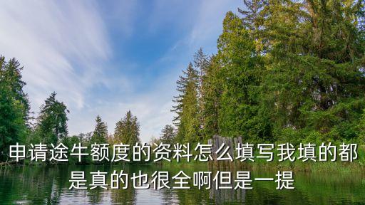 申請途牛額度的資料怎么填寫我填的都是真的也很全啊但是一提