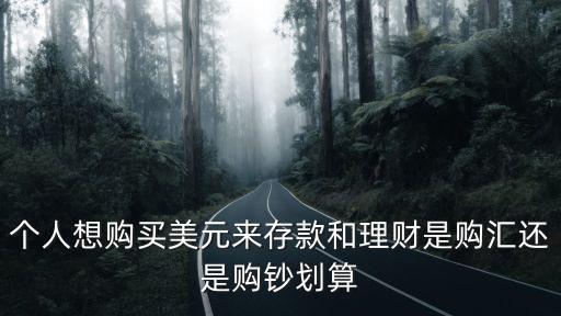 是否購匯怎么選，個人想購買美元來存款和理財是購匯還是購鈔劃算