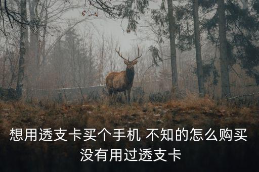 想用透支卡買個(gè)手機(jī) 不知的怎么購買 沒有用過透支卡