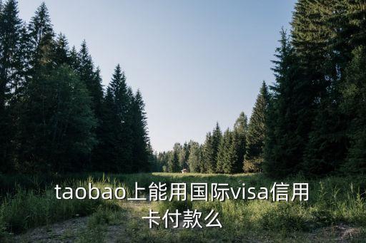taobao上能用國際visa信用卡付款么
