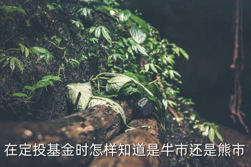 怎么樣才算基金牛市，在定投基金時怎樣知道是牛市還是熊市