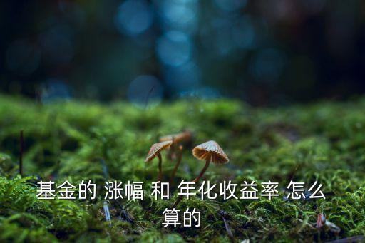 基金的 漲幅 和 年化收益率 怎么算的