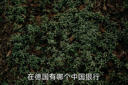 在德國(guó)有哪個(gè)中國(guó)銀行