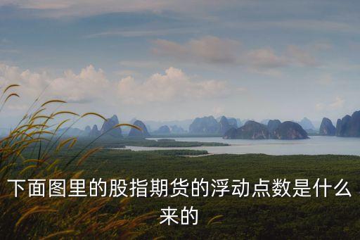 下面圖里的股指期貨的浮動(dòng)點(diǎn)數(shù)是什么來的