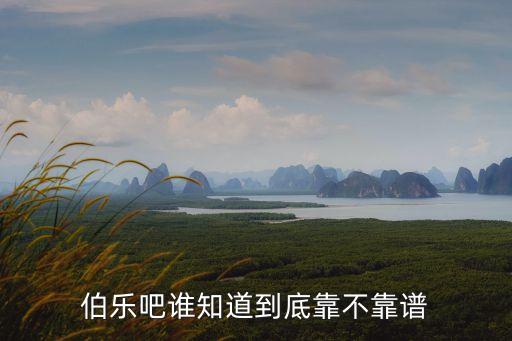 伯樂(lè)平臺(tái)怎么樣，淘寶伯樂(lè)網(wǎng)怎么樣