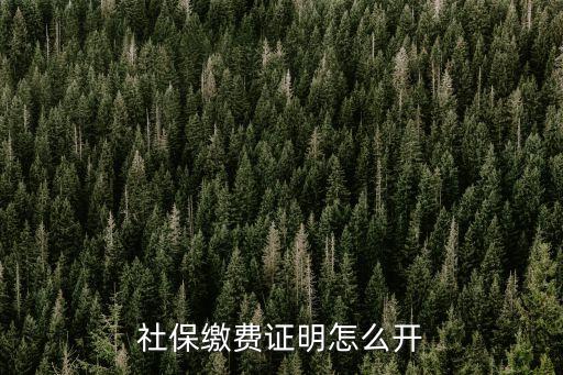 深圳市社會保險(xiǎn)參保證明怎么開，深圳社保證明怎么開