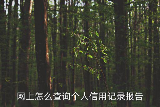 網(wǎng)上怎么看征信報(bào)告，個(gè)人征信怎么查