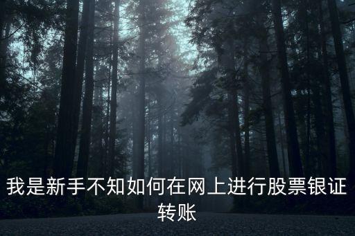 我是新手不知如何在網(wǎng)上進(jìn)行股票銀證轉(zhuǎn)賬