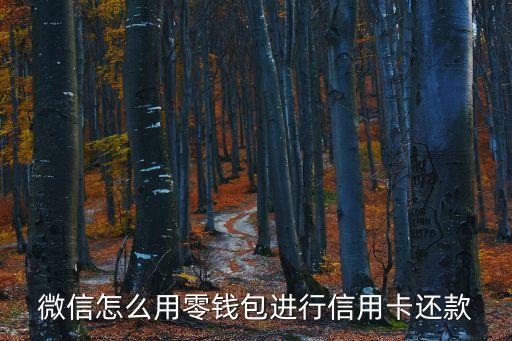 么么錢(qián)包微信怎么還款，百度錢(qián)包用微信怎么還呢