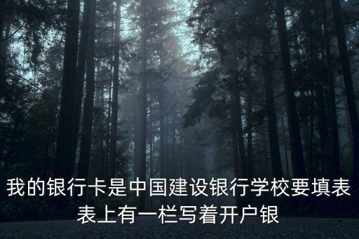我的銀行卡是中國建設銀行學校要填表表上有一欄寫著開戶銀