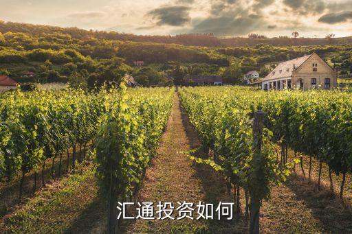 匯通投資如何