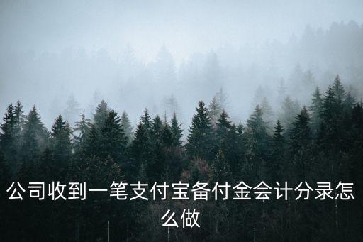 公司收到一筆支付寶備付金會計分錄怎么做