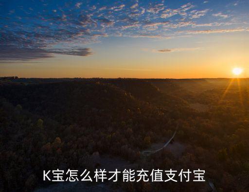 音頻版K寶怎么充值到支付寶，各位大師 誰(shuí)能告訴我 怎樣充值k寶啊 在怎么把k寶的錢 轉(zhuǎn)到支付寶