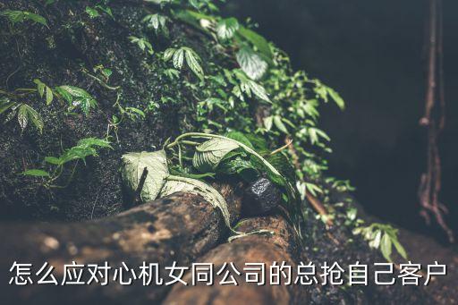 怎么應(yīng)對心機(jī)女同公司的總搶自己客戶
