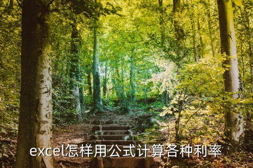 利息怎么算在計(jì)算機(jī)，excel怎樣用公式計(jì)算各種利率