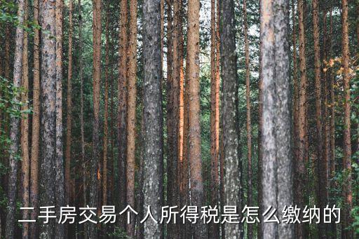 個人房產(chǎn)過戶個稅怎么交，二手房交易個人所得稅是怎么繳納的
