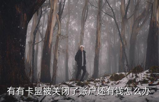 有有卡盟被關(guān)閉了賬戶還有錢怎么辦