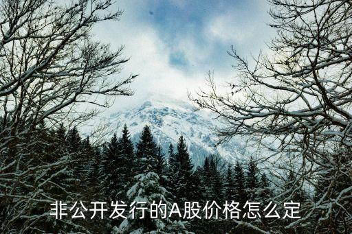 非公開增發(fā)價怎么定，非公開發(fā)行股票定價原則