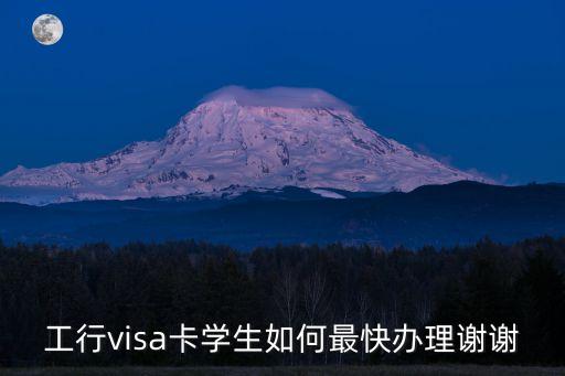 工行visa卡學(xué)生如何最快辦理謝謝