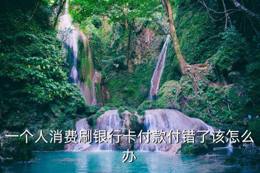 一個(gè)人消費(fèi)刷銀行卡付款付錯(cuò)了該怎么辦