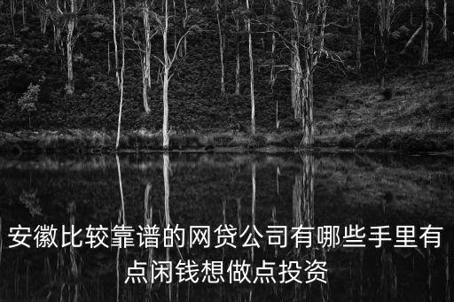 安徽比較靠譜的網(wǎng)貸公司有哪些手里有點閑錢想做點投資
