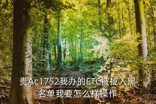 貴Ac1752我辦的ETC被拉入黑名單我要怎么樣操作