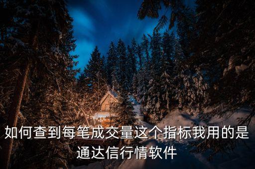 如何查到每筆成交量這個(gè)指標(biāo)我用的是通達(dá)信行情軟件