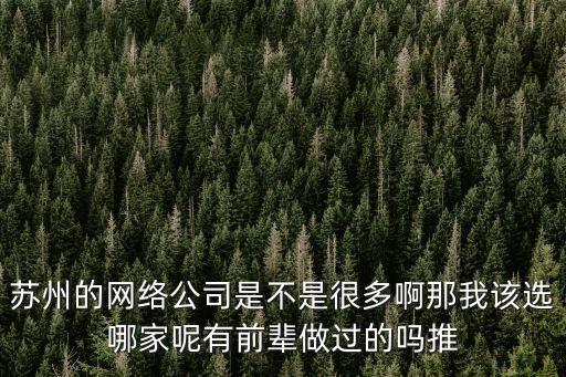 蘇州的網(wǎng)絡(luò)公司是不是很多啊那我該選哪家呢有前輩做過的嗎推