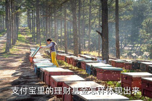 口袋理財怎么體現(xiàn)，支付寶里的理財基金怎樣體現(xiàn)出來
