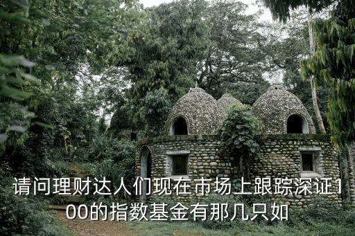 請(qǐng)問(wèn)理財(cái)達(dá)人們現(xiàn)在市場(chǎng)上跟蹤深證100的指數(shù)基金有那幾只如