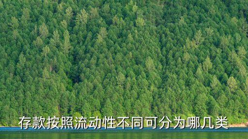 存款按照流動性不同可分為哪幾類