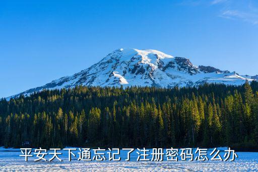平安天下通怎么注冊，平安天下通忘記了注冊密碼怎么辦