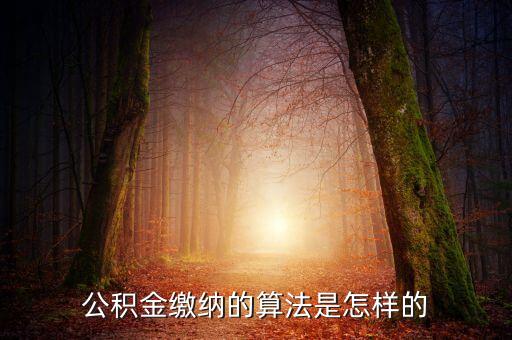公積金繳納的算法是怎樣的