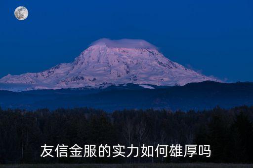 友信金服的實力如何雄厚嗎