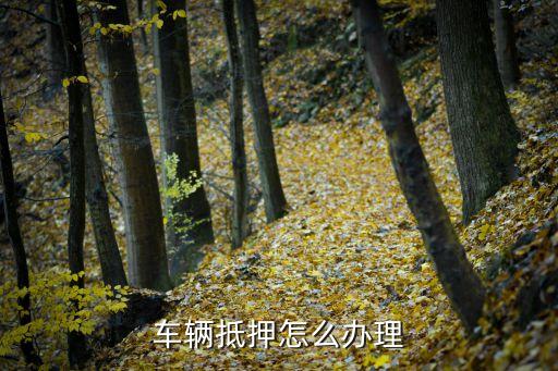 車輛抵押怎么辦理