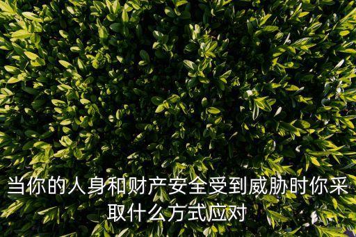 當(dāng)人生財產(chǎn)受到威脅時應(yīng)該怎么做，當(dāng)你的人生和財產(chǎn)安全受到威脅時你采取什么方式應(yīng) 800字  搜