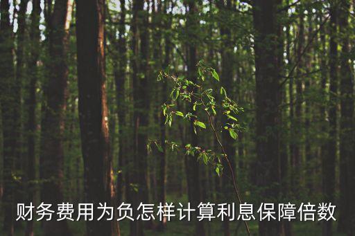 公司利息保障倍數(shù)怎么算，EBITDA利息保障倍數(shù)倍是什么