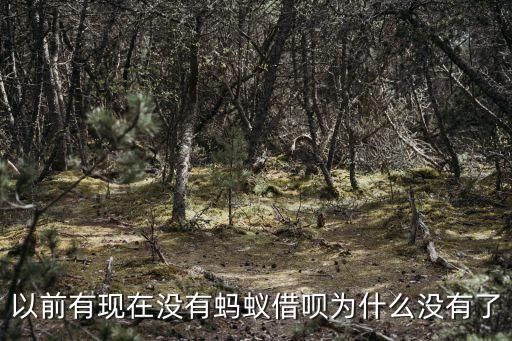 螞蟻借唄怎么找不到了，支付寶找不到螞蟻借唄