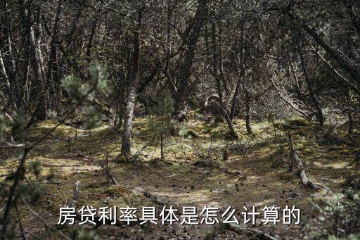 房貸利率具體是怎么計算的