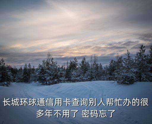 怎么知道國(guó)際卡是否欠款，我就想知道我這個(gè)信用卡有沒(méi)有欠款