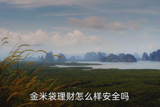 金米袋理財怎么樣安全嗎