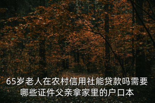 老年人貸款怎么辦理，65歲老人在農(nóng)村信用社能貸款嗎需要哪些證件父親拿家里的戶口本