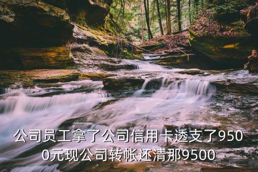 信用卡還款憑證怎么開，請(qǐng)問還款證明 隨便去一個(gè)銀行是不是都可以開 比較急謝謝