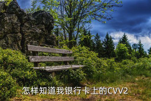 浦發(fā)cvv2怎么查，如何找到銀行卡的cvv2瑪銀行卡在手
