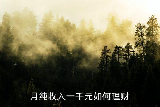 月純收入一千元如何理財(cái)